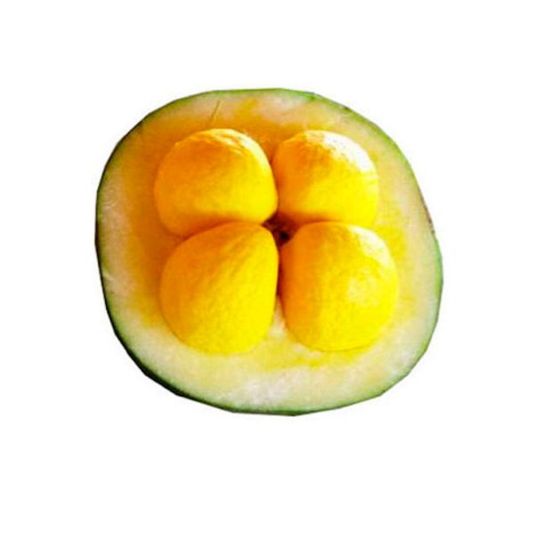 pq